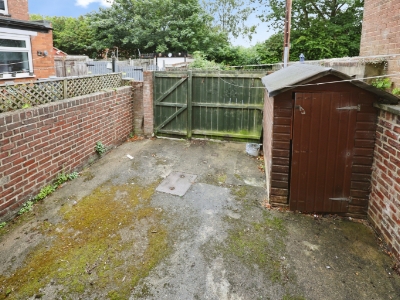 Picture 8